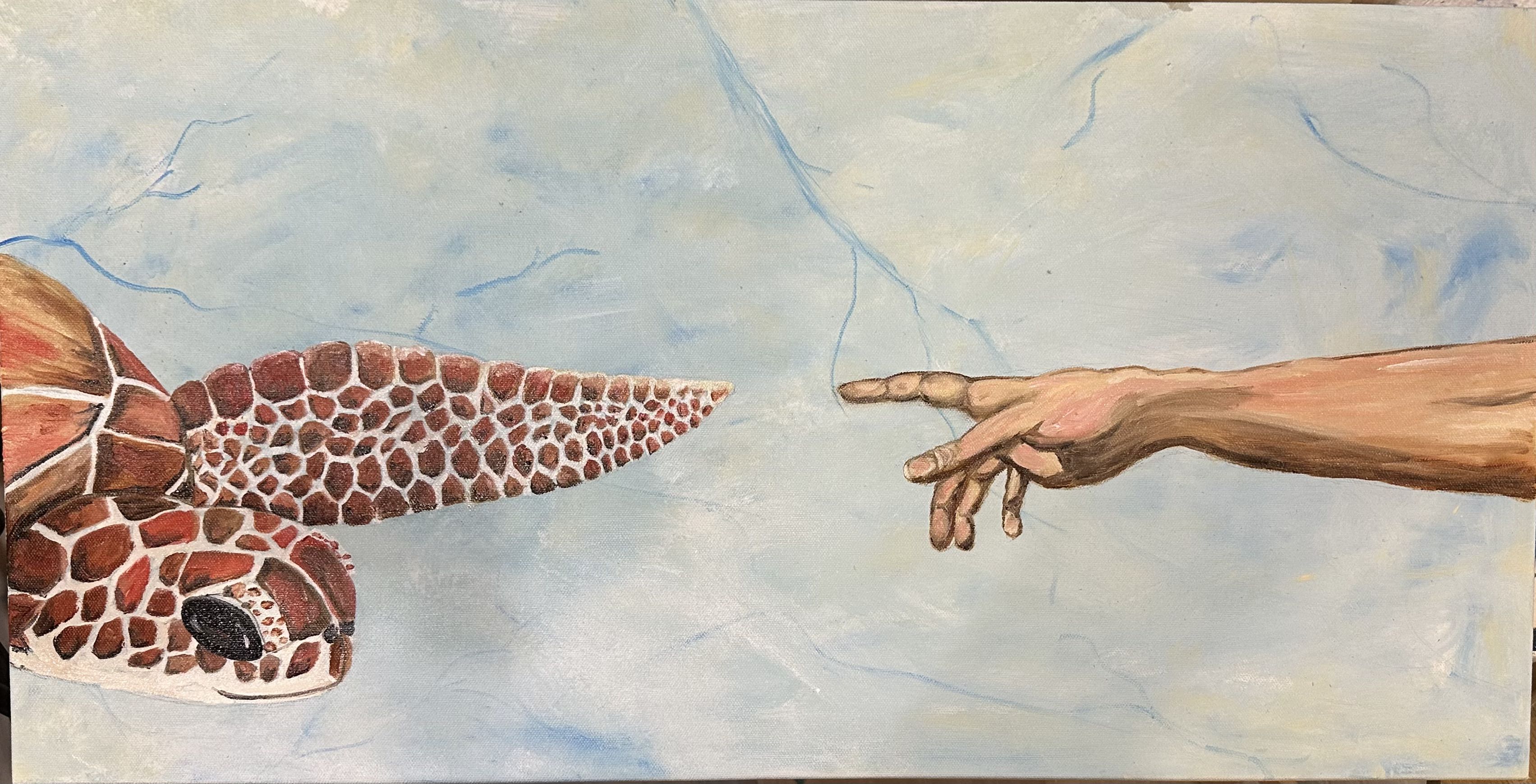 Creation with turtle – D. Biggie Art