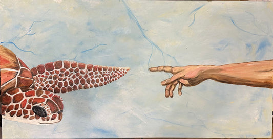 Creation with turtle